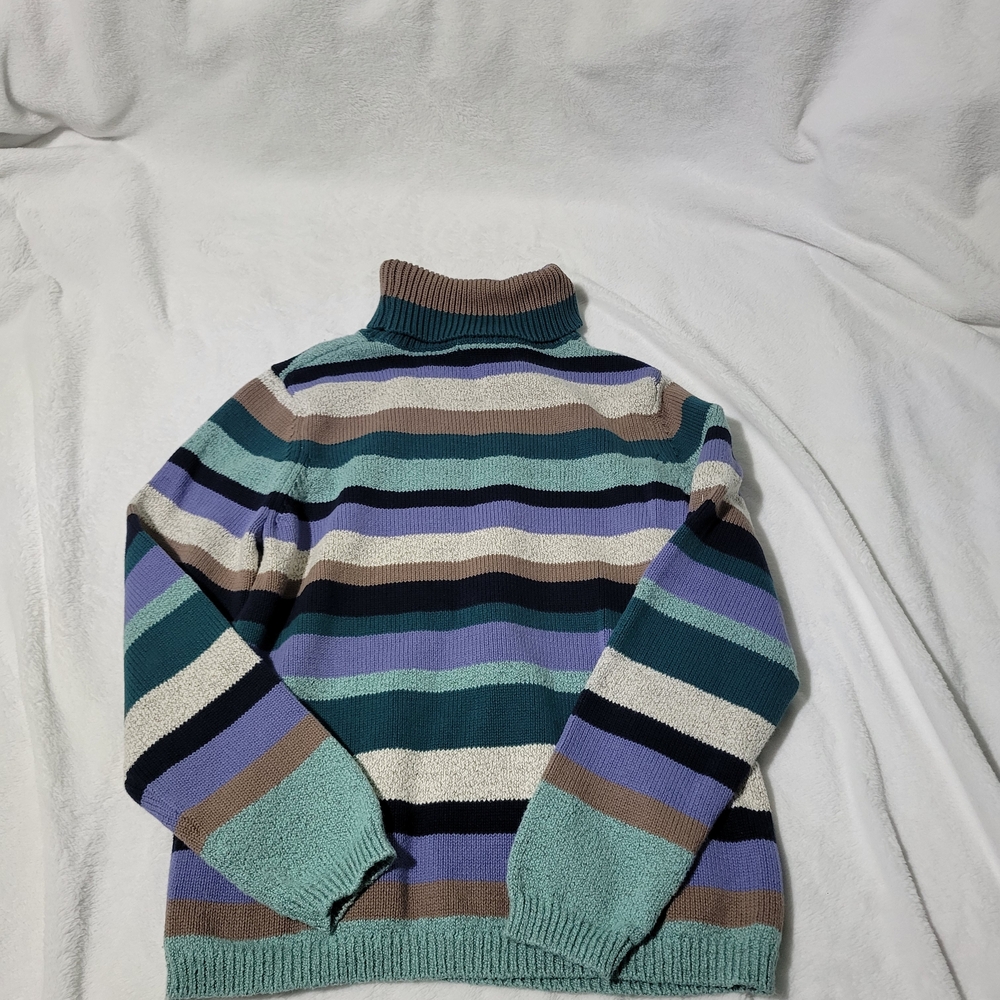 Northern Reflections Teal and Purple Striped Turtleneck Sweater
